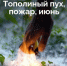 9exWW_yw7uI - Газета Чановские вести
