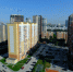 dscf8366 - Газета Чановские вести