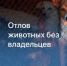CpHa-e5bxirSX3b9FsmtCth_cC65nraXaA9TzTWuyx6sLjREfDMCrolmrGCOxVfBftWzIHnVNlsDsxTpcjYHl0Y_ - Газета Чановские вести